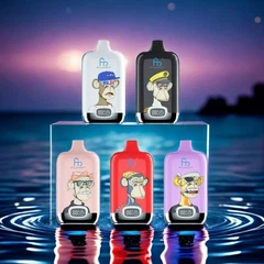 Disposable E-cigarette